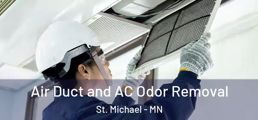 Air Duct and AC Odor Removal St. Michael - MN