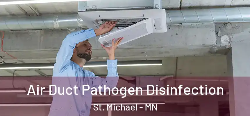 Air Duct Pathogen Disinfection St. Michael - MN