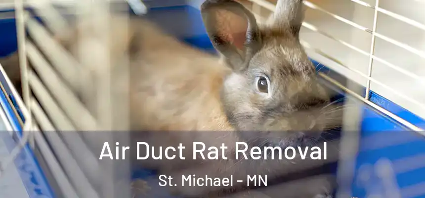 Air Duct Rat Removal St. Michael - MN