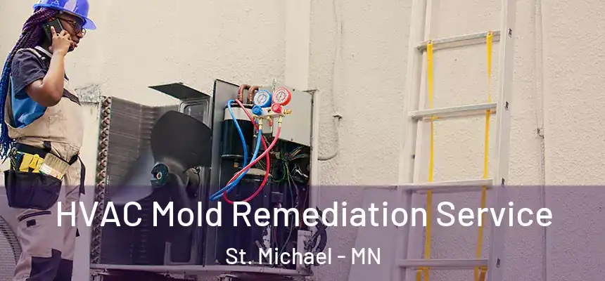 HVAC Mold Remediation Service St. Michael - MN