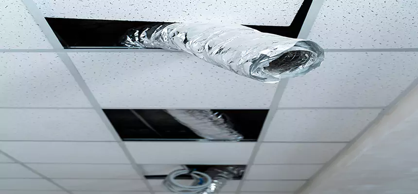 Affordable HVAC Sanitizing After Pest Removal in St. Michael