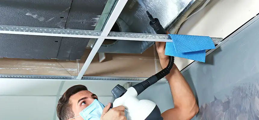 Our Air Duct Rodent Removal Services in St. Michael, MN