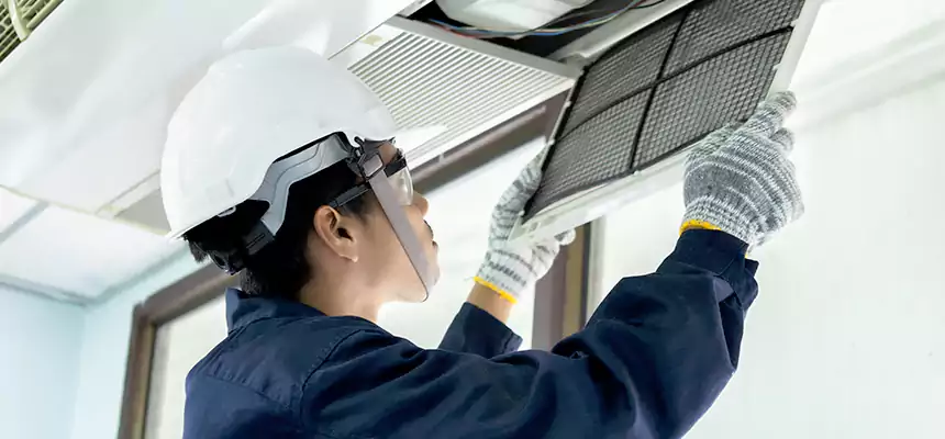 Our Mold & Mildew Removal from Air Ducts Services in St. Michael, MN