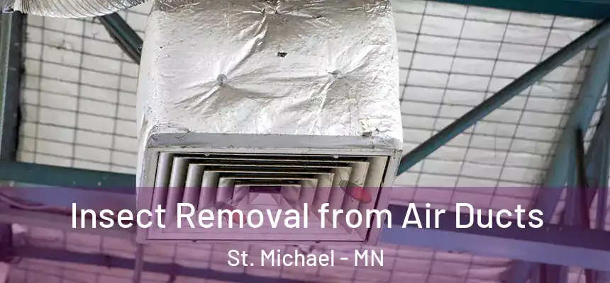 Insect Removal from Air Ducts St. Michael - MN