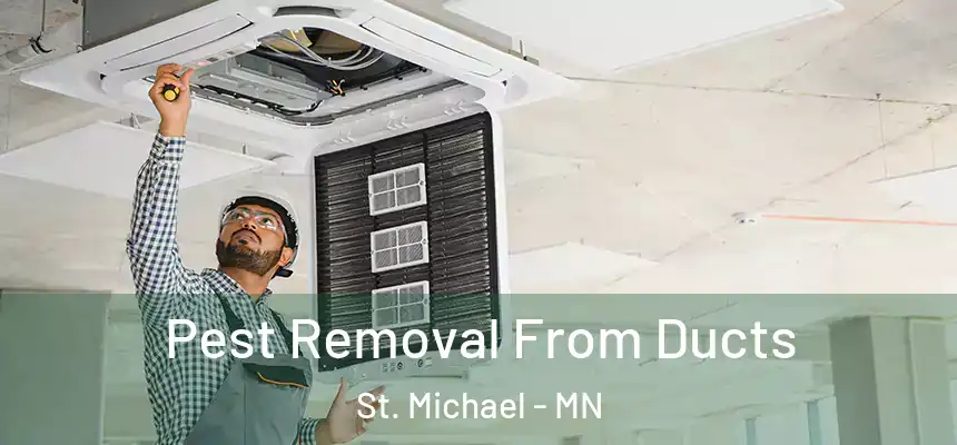  Pest Removal From Ducts St. Michael - MN