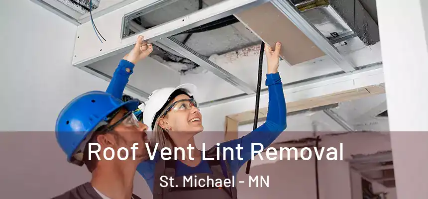 Roof Vent Lint Removal St. Michael - MN