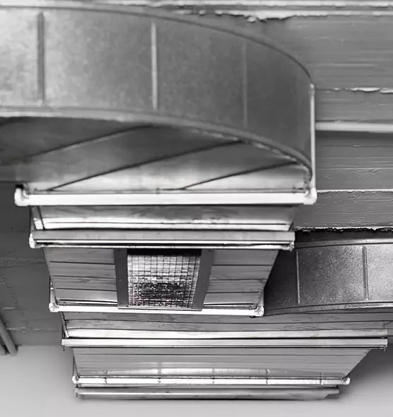 Professional Air Duct Pest Removal in St. Michael, MN