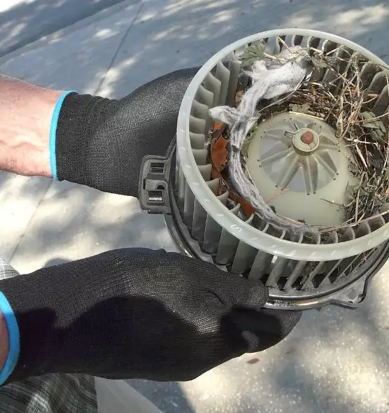 About Air Duct Rat Removal in St. Michael, MN