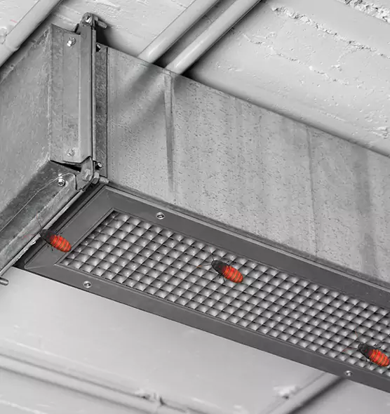 Affordable Insect Removal from Air Ducts in St. Michael, MN