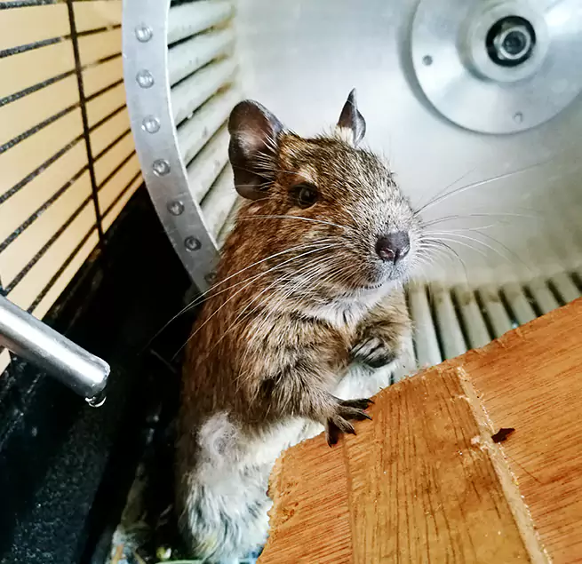 Why Homeowners & Businesses Trust Us St. Michael, MN?