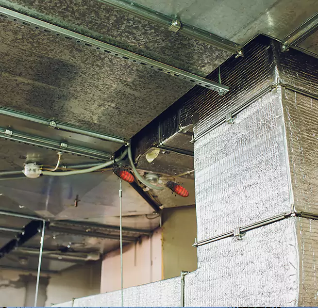 Why Homeowners & Businesses Trust Us St. Michael, MN?