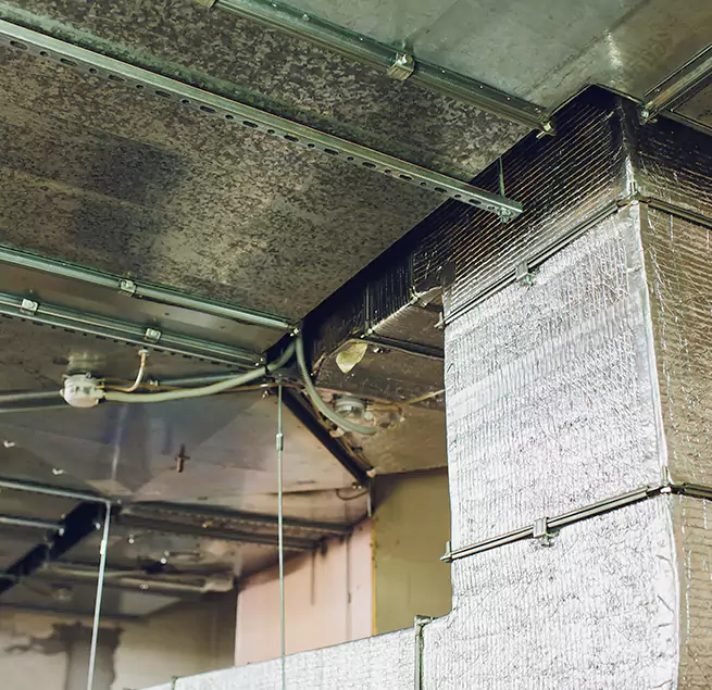 Why Homeowners & Businesses Trust Us in St. Michael, MN?