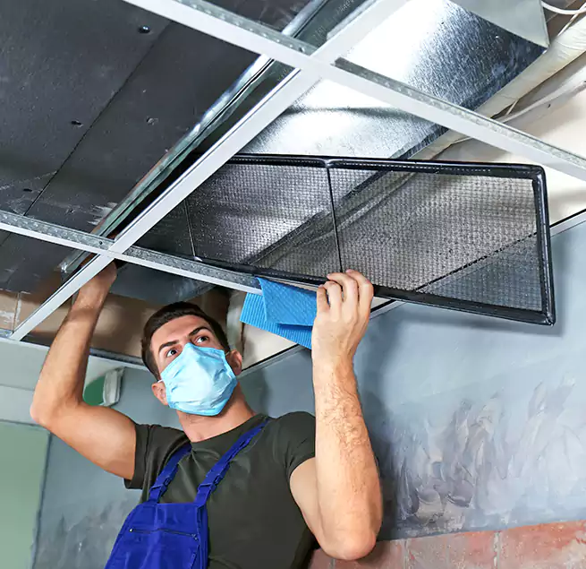 Why Homeowners Businesses Trust Us in St. Michael, MN